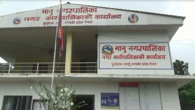 भानु नगरपालिका