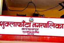 कञ्चनपुर, शुक्लाफाँटा नगरपालिका