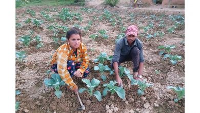 आफ्नै देशमा श्रम गर्न प्रेरित गर्दै पाल्पाका भुसाल