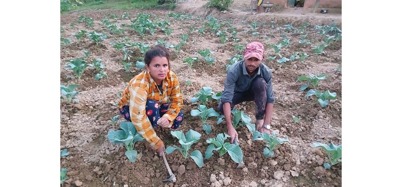 आफ्नै देशमा श्रम गर्न प्रेरित गर्दै पाल्पाका भुसाल