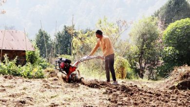 पाल्न छोडे किसानले हल गोरु, आधुनिक हलोले जोत्छन् खेतबारी