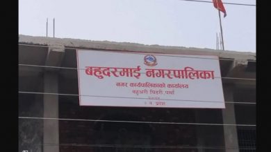 बहदुरमाई नगरपालिकाका कर्मचारी र जनप्रतिनिधिले चार महिनादेखि तलबभत्ता पाएनन्