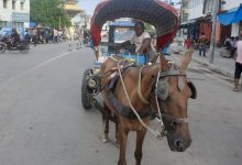 टाँगाले वीरगञ्जको ट्राफिक व्यवस्थापनमा चुनौती थप्दै