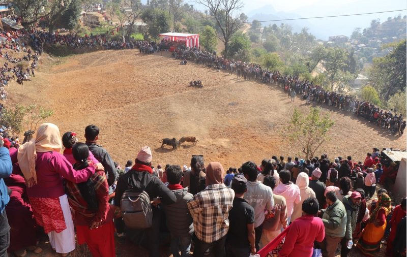 गोरु जुधाई