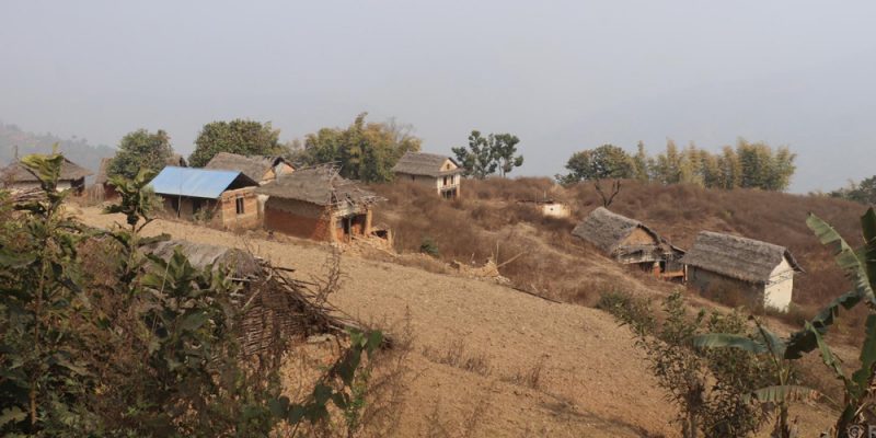 बाँदर आतङ्कले बसाइँसराइ बढ्दा बस्ती नै खण्डहर